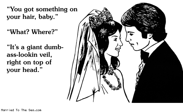 Married To The Sea comic: something on your hair * Text: you got something on your hair baby what where its a giant dumb ass looking veil right on top of your head