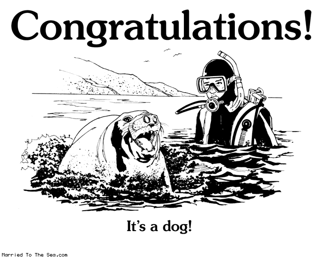 Married To The Sea comic: its a dog * Text:
Congratulations!
It's a dog!