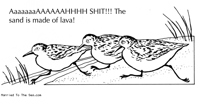 Married To The Sea comic: sand is made of lava * Text: aaaaaaaAAAAAAHHHH SHIT the sand is made of lava