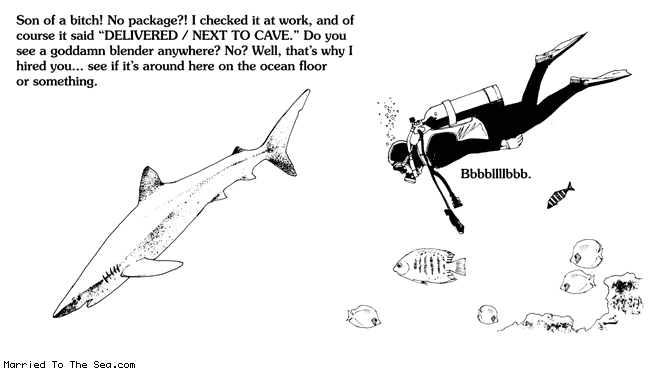 Married To The Sea comic: delivered next to cave * Text:
Son of a bitch! No package?! I checked it at work, and of course it said