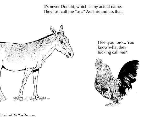 Married To The Sea comic: ass this ass that * Text: