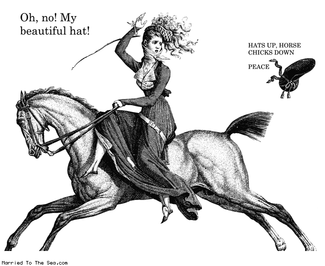 Married To The Sea comic: horse chicks * Text:
Oh, no! My beautiful hat!
HATS UP, HORSE CHICKS DOWN
PEACE