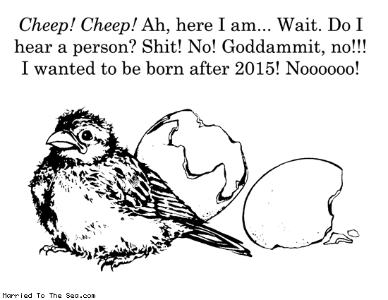 Married To The Sea comic: a chick is born * Text: