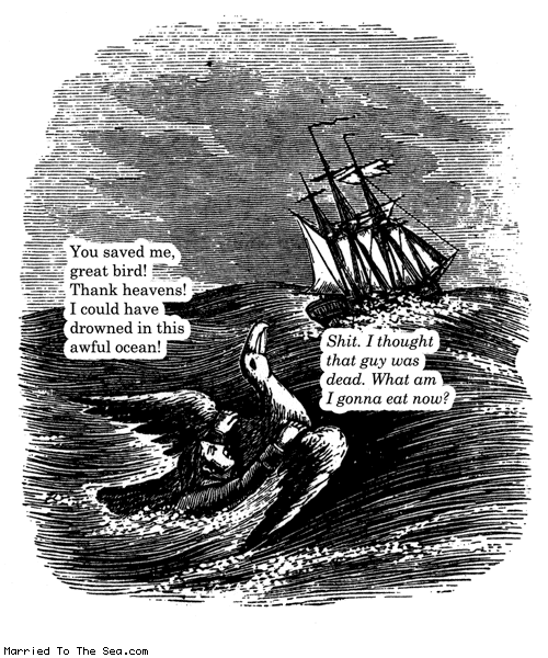 Married To The Sea comic: you saved me great bird * Text: