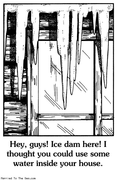 Married To The Sea comic: ice dam * Text: hey guys ice dam here i thought you could use some water inside your house