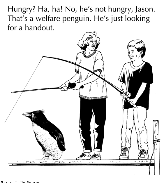 Married To The Sea comic: welfare penguin * Text: hungry haha no hes not hungry jason thats a welfare penguin hes just looking for a handout