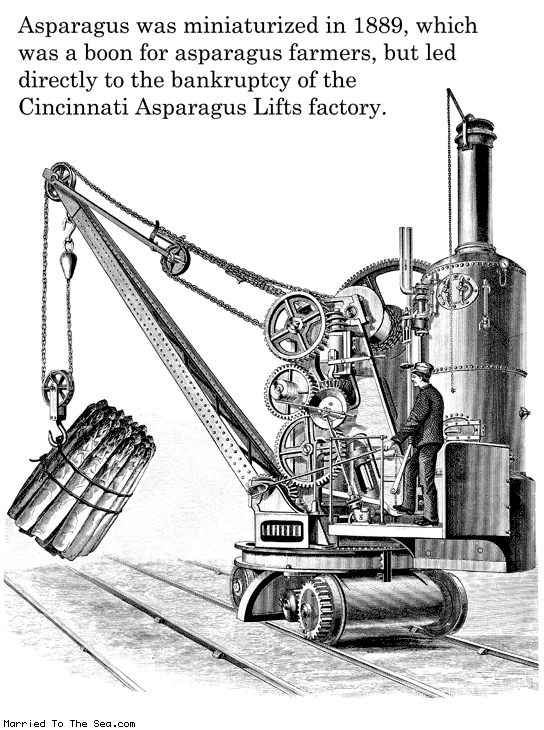 asparagus miniaturization