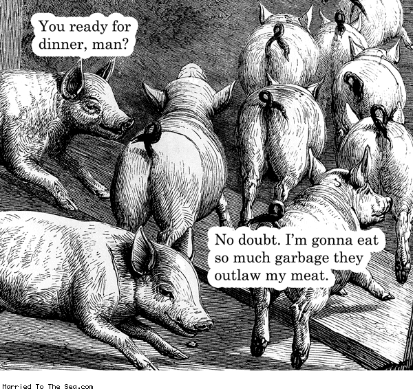 Married To The Sea comic: pig dinner * Text: you ready for dinner man no doubt im gonna eat so much garbage they outlaw my meat