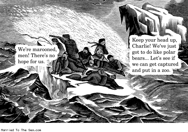Married To The Sea comic: marooned on the ice * Text: were marooned men theres no hope for us keep your head up charlie were just got to like polar bears lets see if we can get captured and put in a zoo