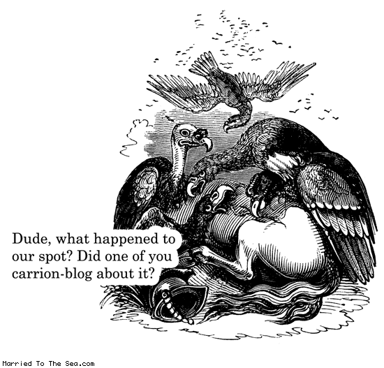 Married To The Sea comic: what happened to our spot * Text: