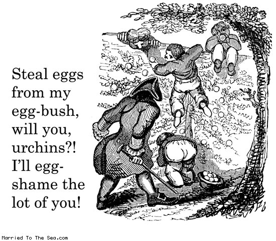 Married To The Sea comic: egg theft * Text: