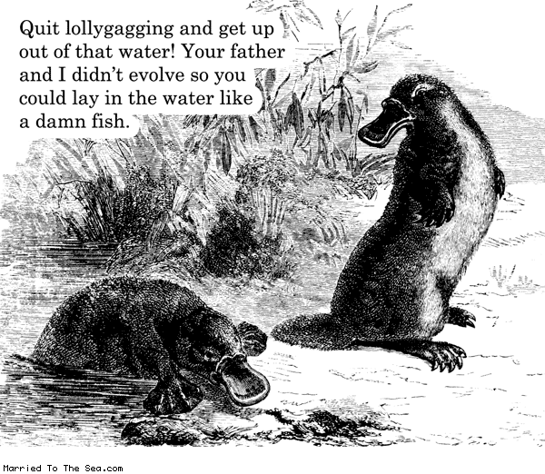 Married To The Sea comic: quit lollygagging * Text: quit lollygagging and get up out of the water your father and i didnt evolve so you could lay in the water like a damn fish