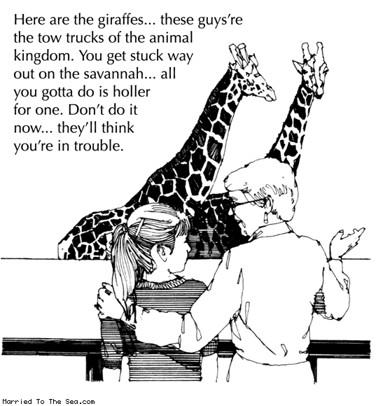 Married To The Sea comic: tow trucks of the animal kingdom * Text: here are the giraffes these guysre the tow trucks of the animal kingdom you get stuck way out in the savannah all you gotta do is holler for one dont do it now theyll think youre in trouble