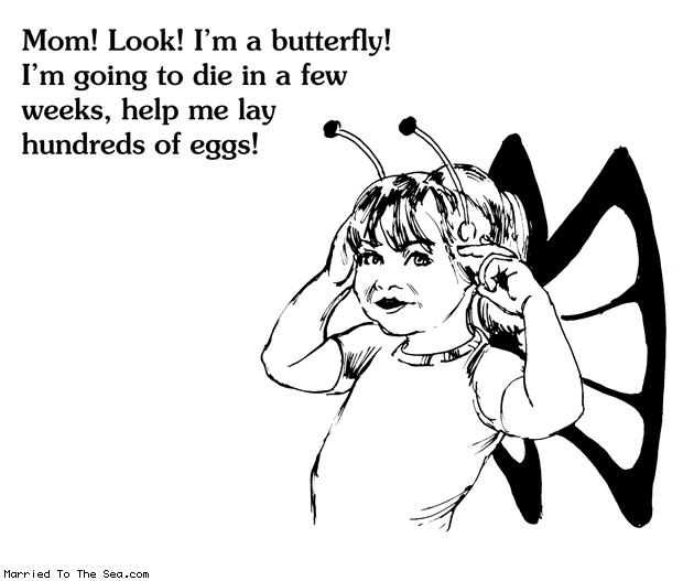 Married To The Sea comic: mom look im a butterfly * Text: Mom! Look! I'm a butterfly! I'm going to die in a few weeks, help me lay hundreds of eggs!