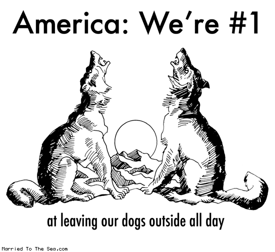 Married To The Sea comic: america number one * Text: america were #1 at leaving our dogs outside all say