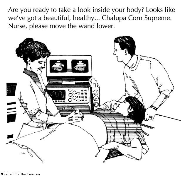 Married To The Sea comic: ultrasound a look inside the body * Text: are you ready to take a look inside your body looks like weve got a beautiful healthy chalupa corn supreme nurse please move the wand lower