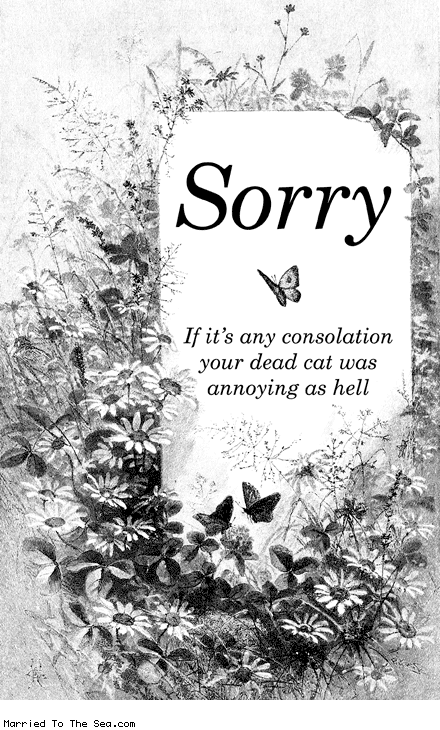 Married To The Sea comic: sorry about your cat * Text: sorry if its any consolation your dead cat was annoying as hell
