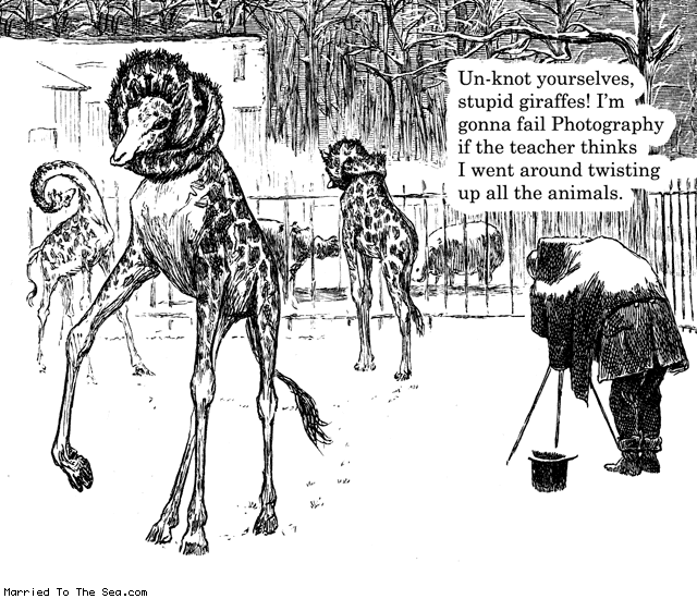 Married To The Sea comic: stupid giraffes * Text: unknot yourselves stupid giraffes im gonna fail photography if the teacher thinks i went around twisting up all the animals
