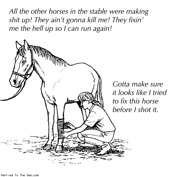 Married To The Sea comic: all the other horses * Text: All the other horses in the stable were making shit up! They ain't gonna kill me! They fixin' me the hell up so I can run again! Gotta make sure it looks like I tried to fix this horse before I shot it.