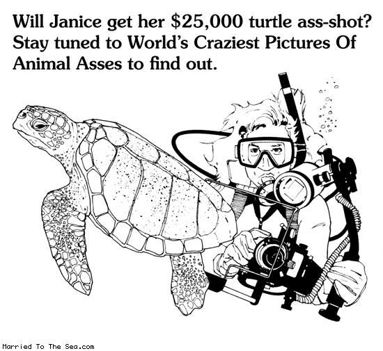 Married To The Sea comic: worlds craziest pictures of animal asses * Text: will janice get her $25000 dollar turtle ass shot stay tuned to worlds craziest pictures of animal asses to find out