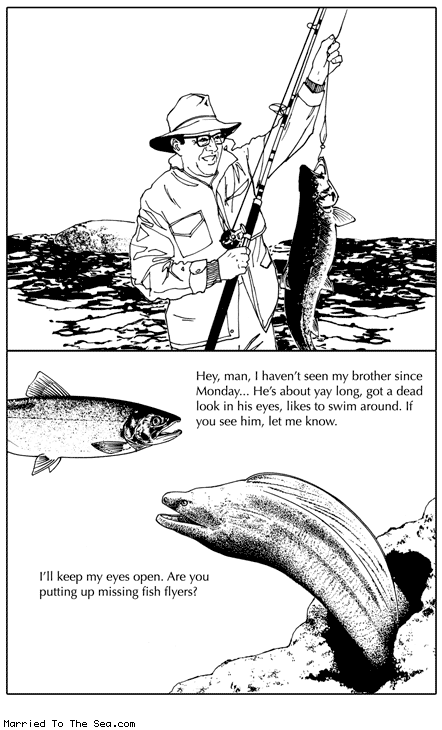 Married To The Sea comic: missing fish * Text: hey man i havent seen my brother since monday hes about yay longgot a dead look in his eyes likes to swim around if yu see him let me know ill keep my eyes open are you putting up missing fish flyers