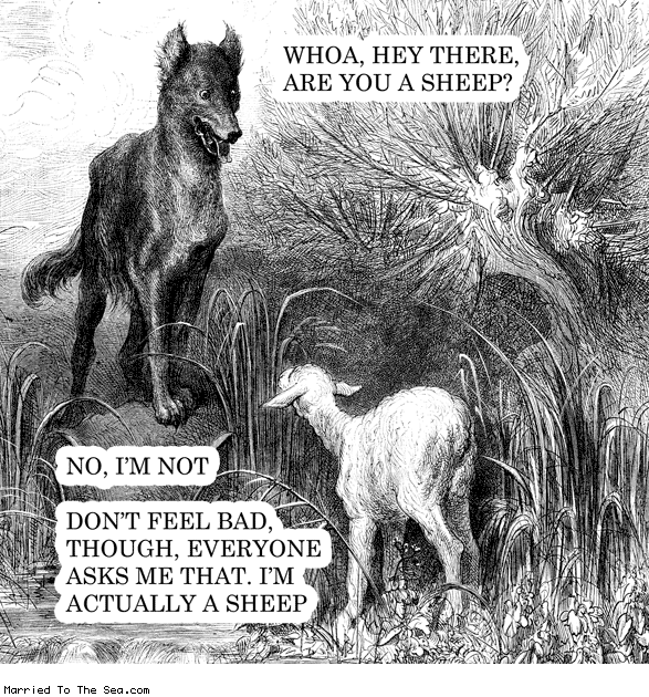 Married To The Sea comic: are you a sheep * Text: whoa hey there are you a sheep no im not dont feel bad though everyone asks me that im actually a sheep