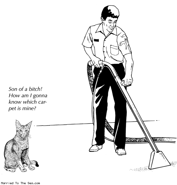 Married To The Sea comic: carpet cleaning * Text:
Son of a bitch! How am I gonna know which carpet is mine?