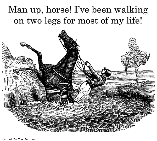 Married To The Sea comic: man up horse * Text: man up horse ive been walking on two legs for most of my life