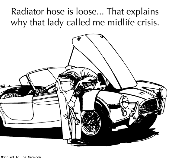 Married To The Sea comic: radiator hose * Text: