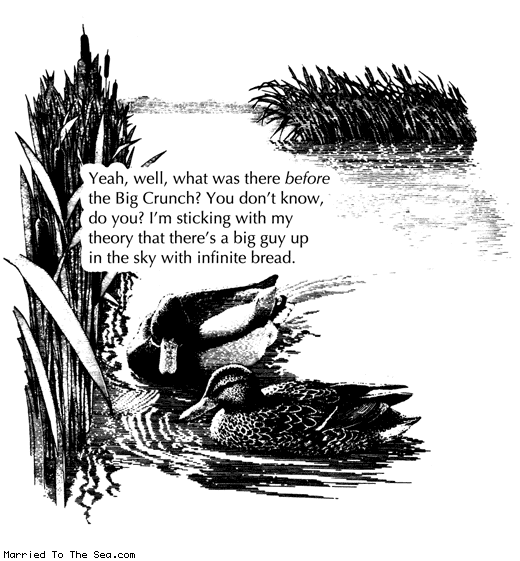 Married To The Sea comic: before the big crunch * Text: