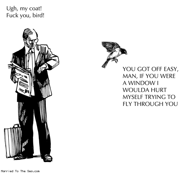 Married To The Sea comic: ugh my coat * Text: ugh my coat fuck you bird you got off easy man if you were a window i woulda hurt myself trying to fly through you