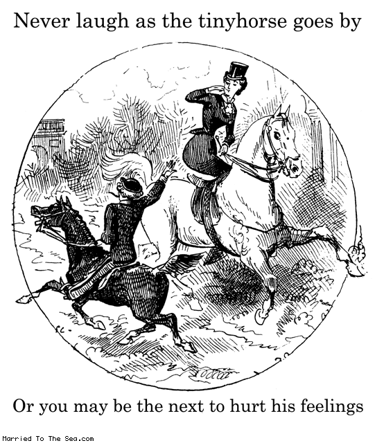 Married To The Sea comic: never laugh * Text: never laugh as the tinyhorse goes by or you may be the next to hurt his feelings