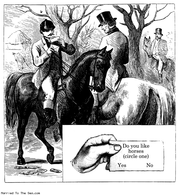do you like horses