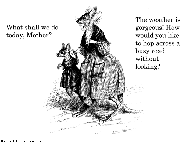 Married To The Sea comic: kangaroo plans * Text: