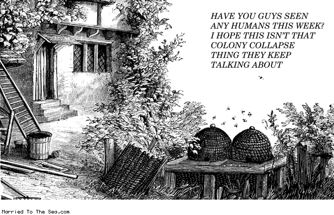 Married To The Sea comic: colony collapse * Text: have you guys seen any human this week i hope this isnt that colony collapse thing they keep talking about