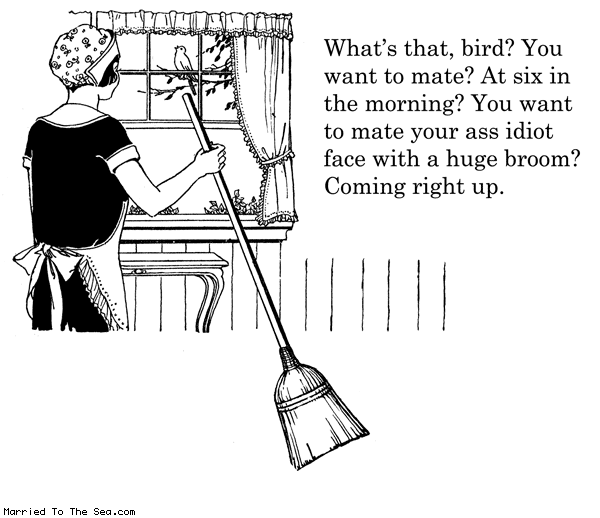 Married To The Sea comic: bird wants to mate * Text: