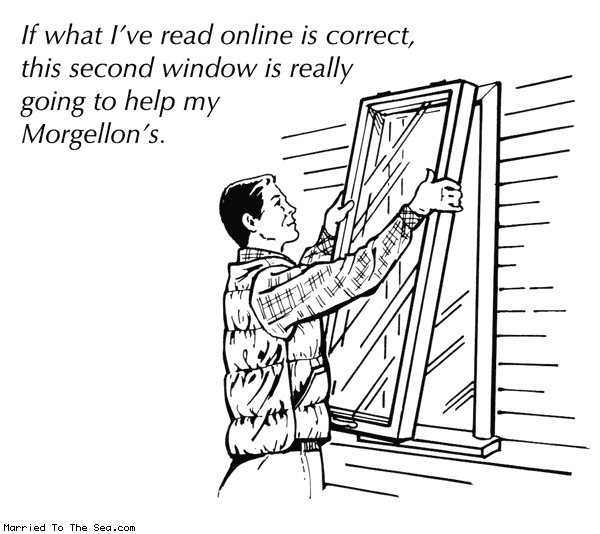 Married To The Sea comic: online morgellons advice * Text: