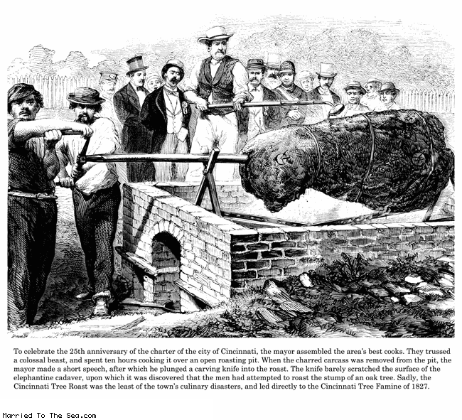 Married To The Sea comic: cincinnati roast * Text:
To celebrate the 25th anniversary of the charter of the city of Cincinnati, the mayor assembled the area's best cooks. They trussed a colossal beast, and spent ten hours cooking it over an open roasting pit. When the charred carcass was removed from the pit, the mayor made a short speech, after which he plunged a carving knife into the roast. The knife barely scratched the surface of the elephantine cadaver, upon which it was discovered that the men had attempted to roast the stump of an oak t
