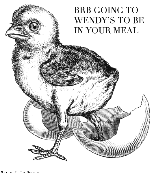 Married To The Sea comic: brb wendys * Text:
BRB GOING TO WENDY'S TO BE IN YOUR MEAL