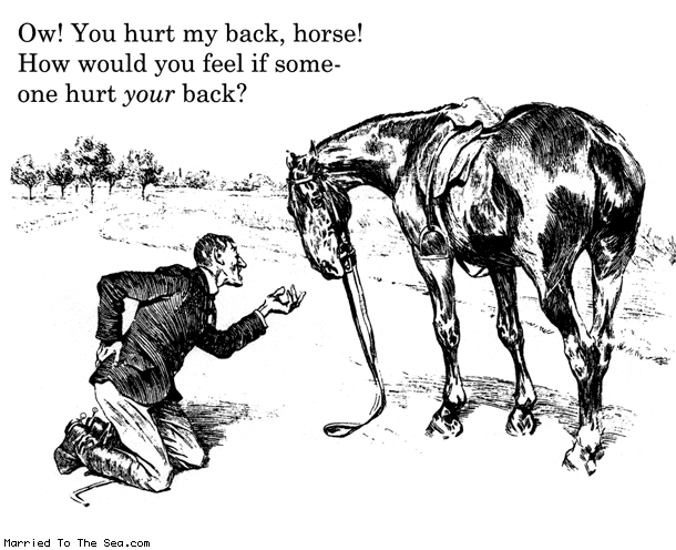 Married To The Sea comic: you hurt my back * Text: ow you hurt my back horse how would you feel if someone hurt your back