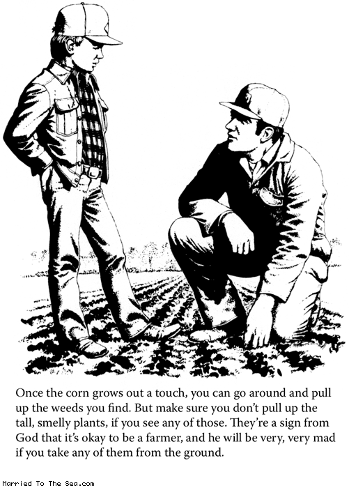 Married To The Sea comic: cash croppin in kentucky * Text:
Once the corn grows out a touch, you can go around and pull up the weeds you find. But make sure you don't pull up the tall, smelly plants, if you see any of those. They're a sign from God that it's okay to be a farmer, and he will be very, very mad if you take any of them from the ground.