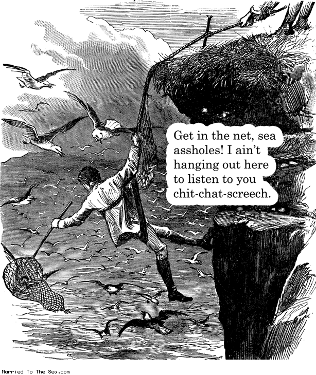 Married To The Sea comic: sea assholes * Text: get in the net sea asshole i aint hanging out here to listen to you chit chat screech