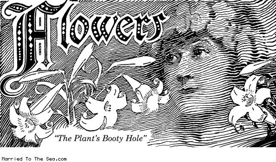Married To The Sea comic: flowers slogan * Text: