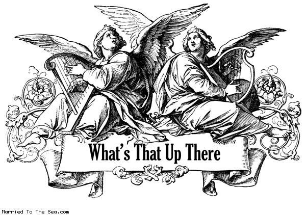 Married To The Sea comic: whats that up there * Text: whats that up there