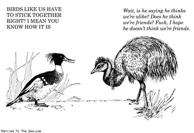 Married To The Sea comic: birds like us * Text: