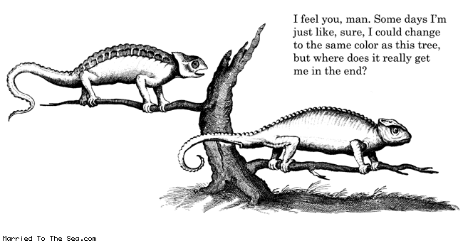 http://www.marriedtothesea.com/092010/chameleon-angst.gif