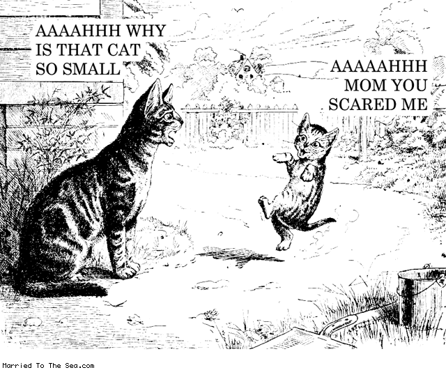 Married To The Sea comic: why is that cat so small * Text: aaaah why is that cat so small ahhh mom you scared me
