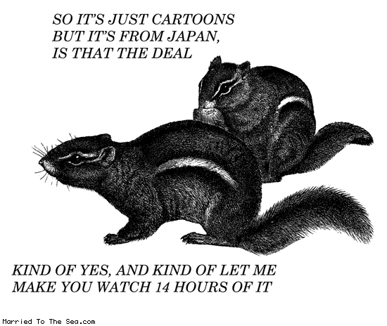 squirrel-anime.gif