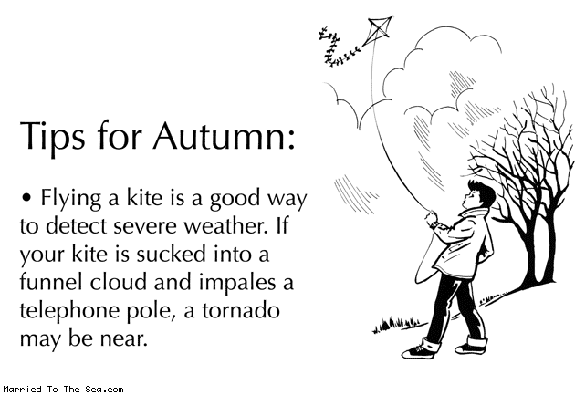 Married To The Sea comic: tips for autumn flying a kite * Text: tips for autumn flying a kite is a good way to detect severe weather if your kite is sucked into a funnel cloud and impales a telephone pole a tornado may be near