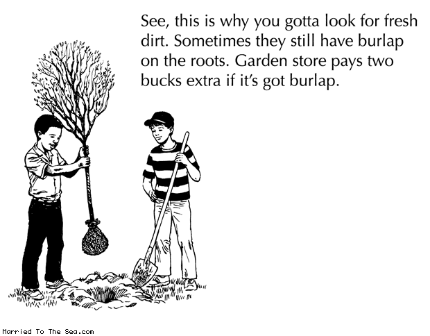 Married To The Sea comic: look for fresh dirt * Text: see this is why you gotta look for fresh dirt sometimes they still ahve burlap on the roots garden store pays two bucks extra if its got burlap